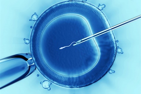 http://changzhou.vdtfzz.com/post/198.html|常州代生助孕