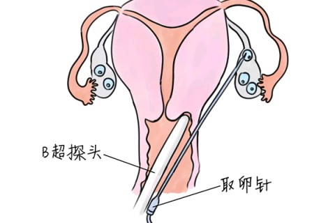 http://changzhou.vdtfzz.com/post/205.html|常州供卵助孕