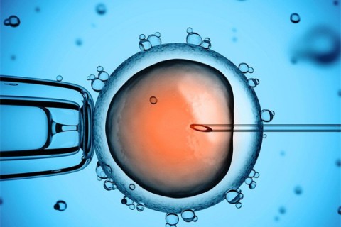 http://changzhou.vdtfzz.com/post/199.html|常州供卵助孕